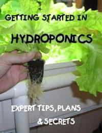 Getting Started in Hydroponics eBook - tips and tricks